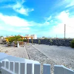 Oasis *